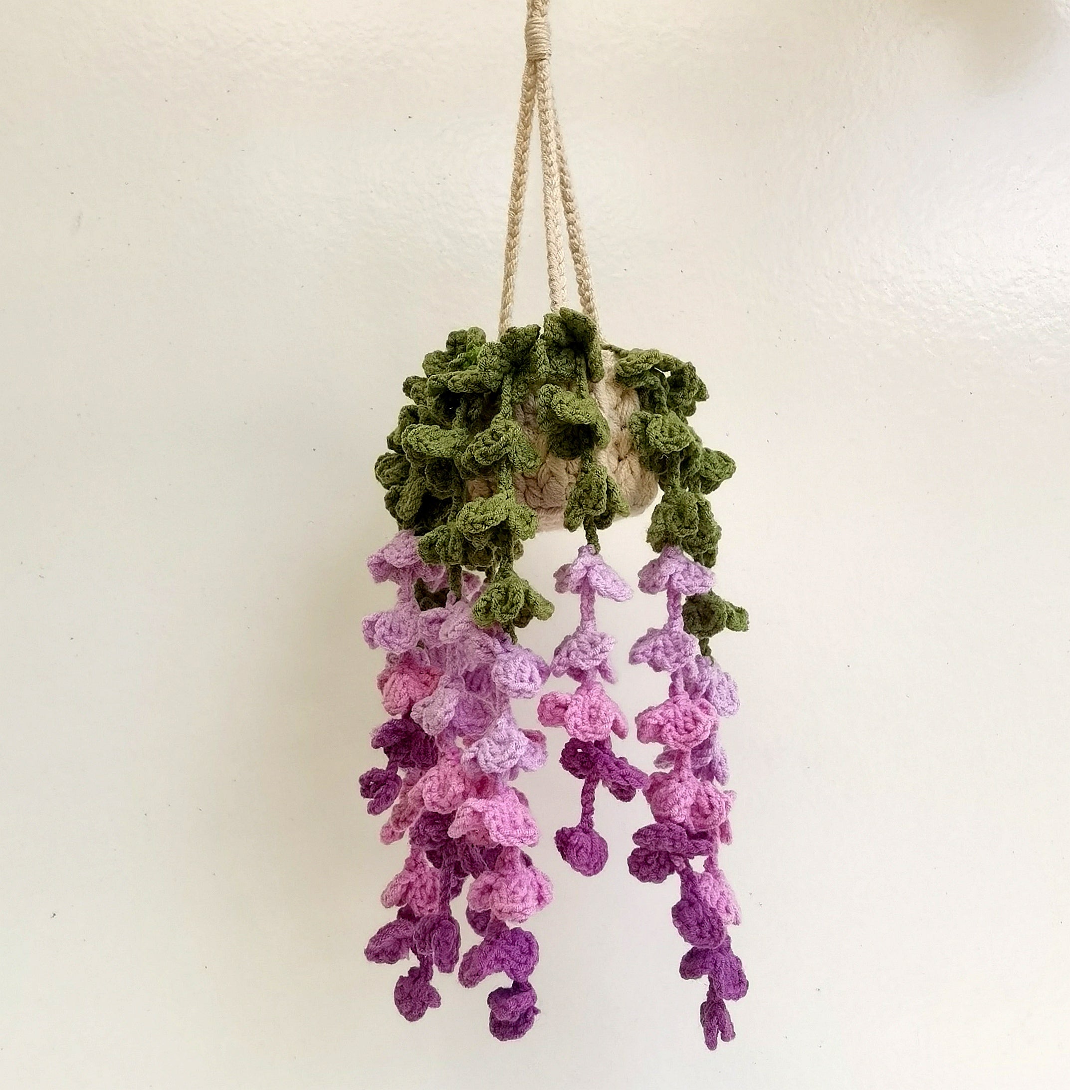 $19 Hanging