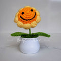 Smile Sunflower Pot