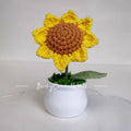 Sunflower pot single 2