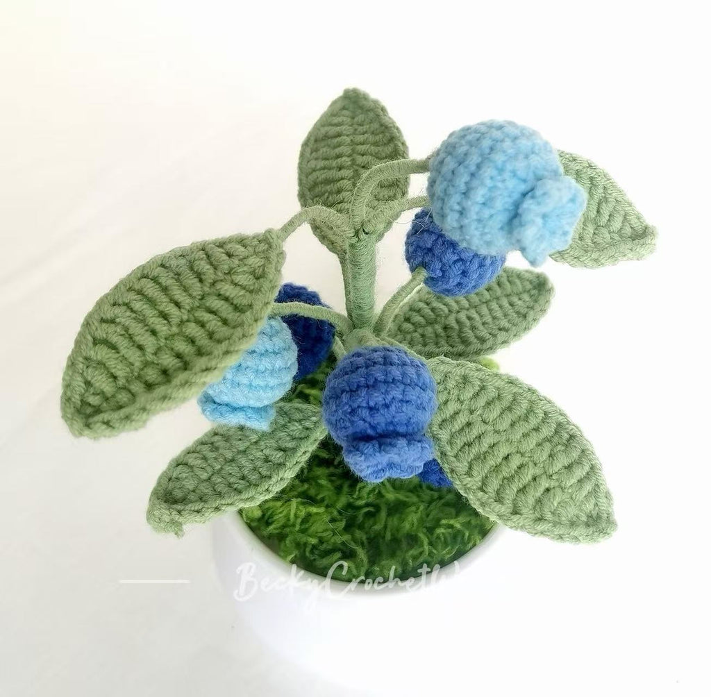 Blueberry pot