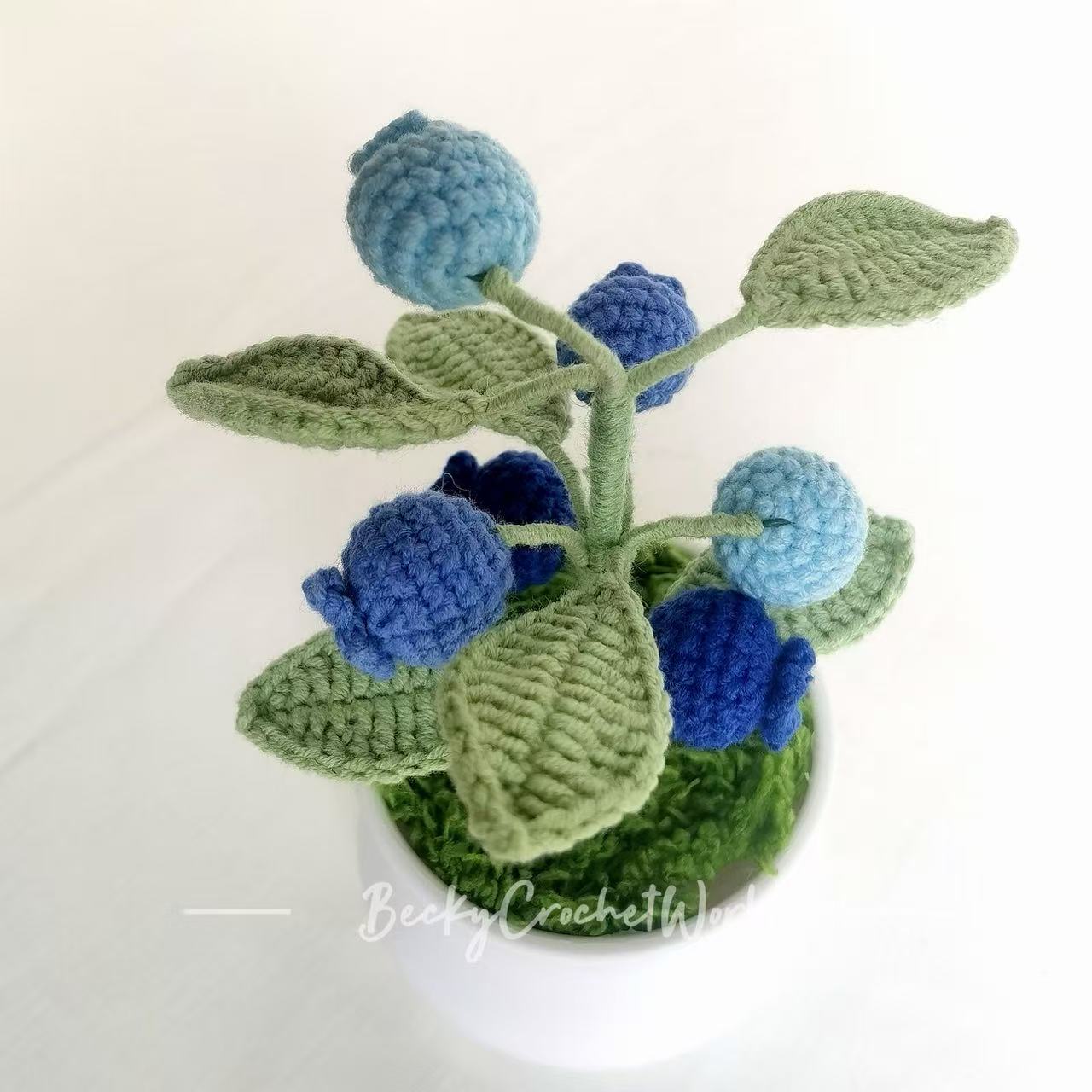 Blueberry pot