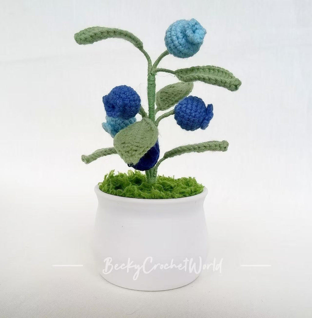 Blueberry pot