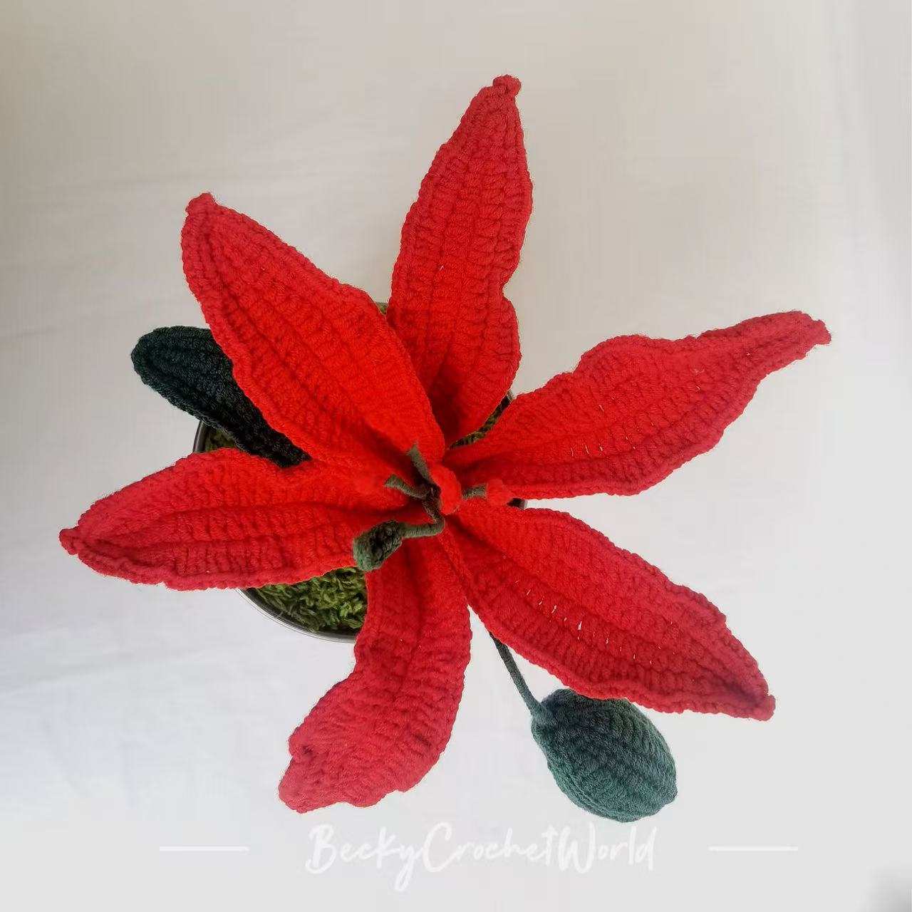 Red - Lily flower pot