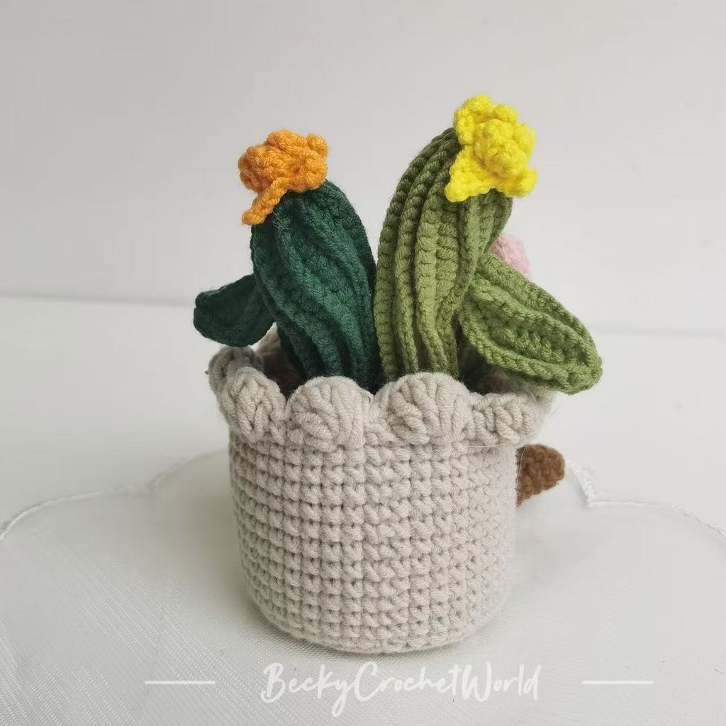 Cactus Flower Pot
