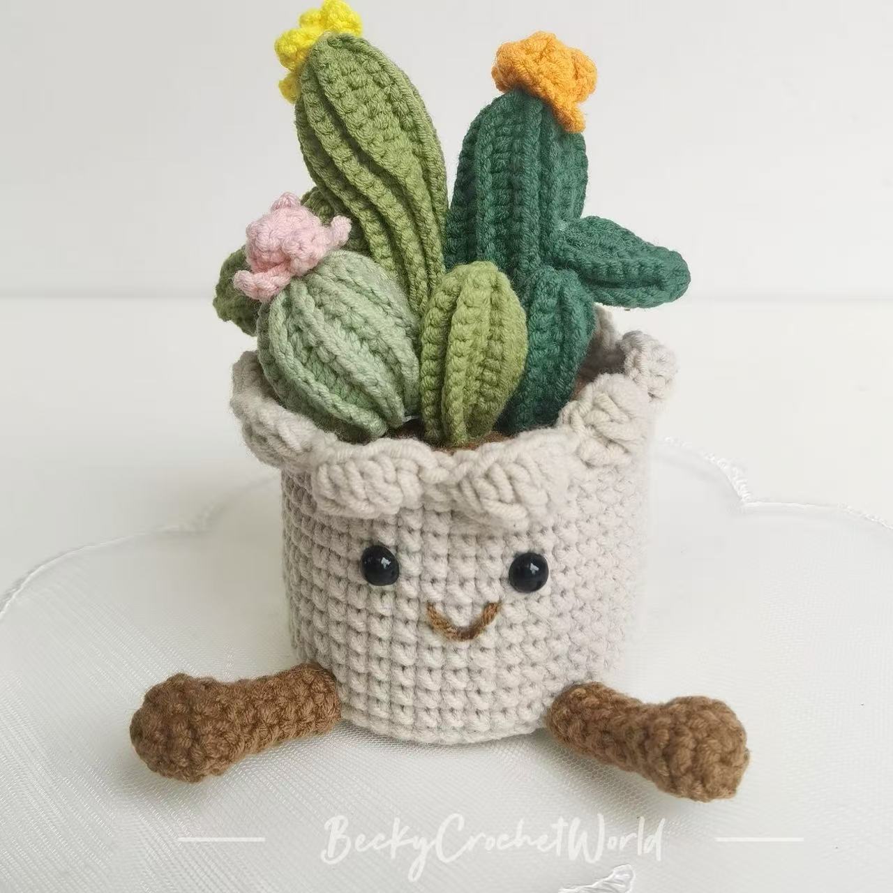 Cactus Flower Pot