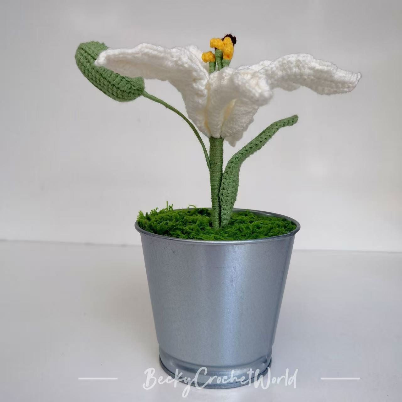 White Lily Flower Pot
