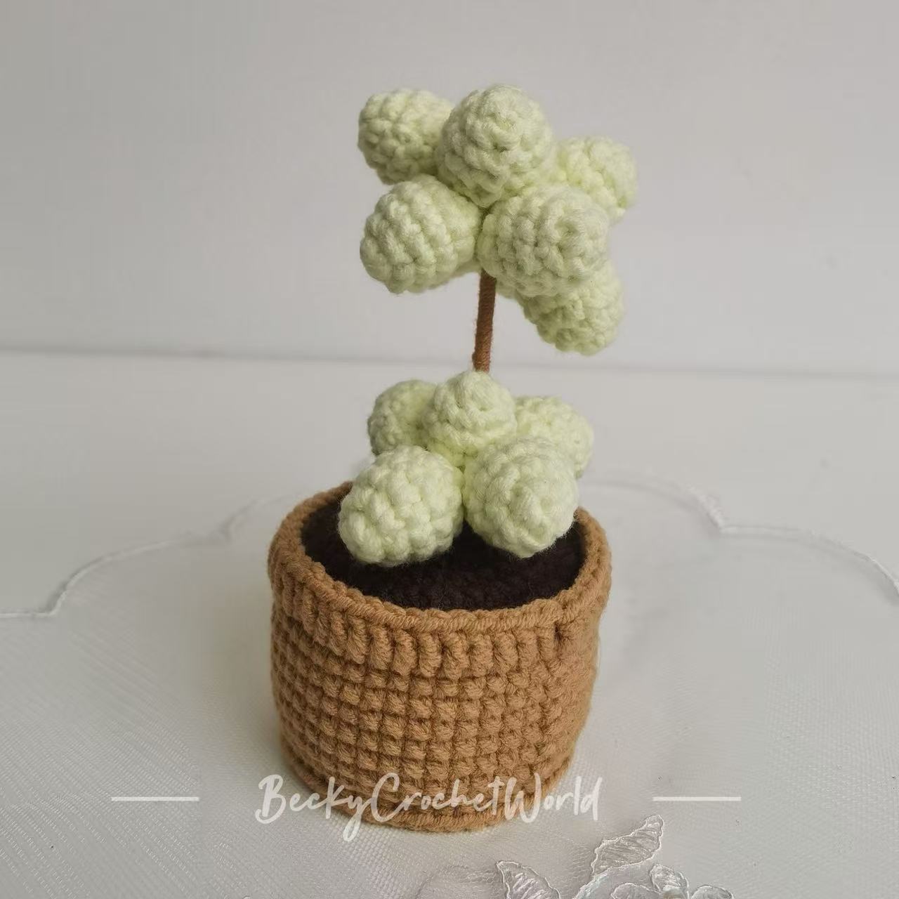 Green Succulent Plant