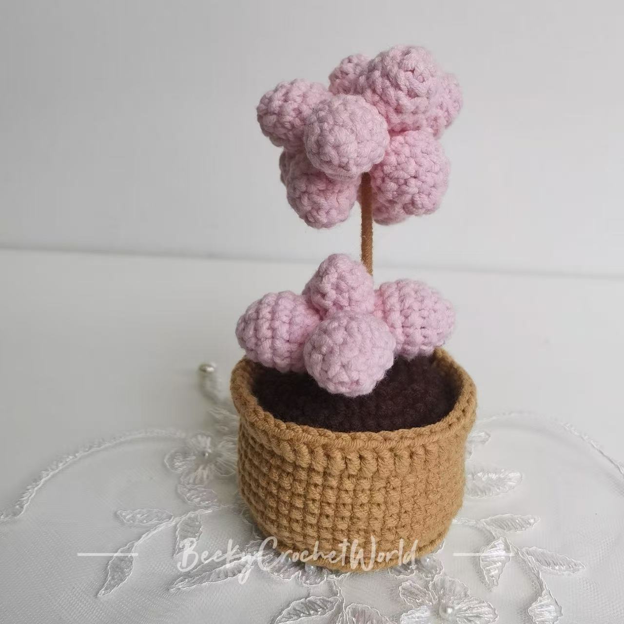 Pink Succulent