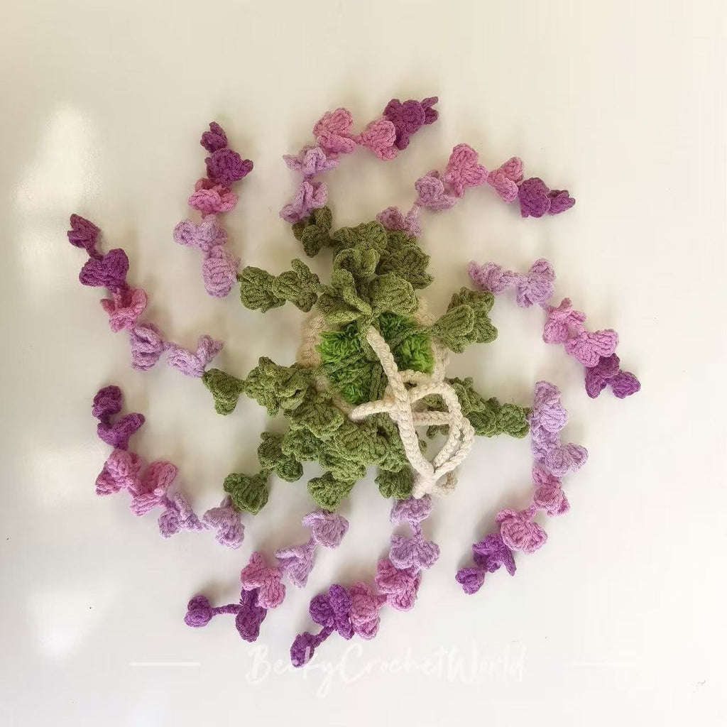 Wisteria Hanging