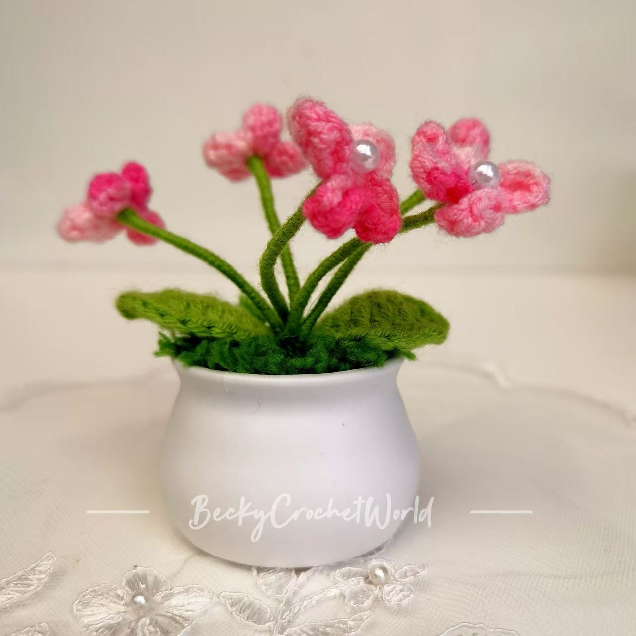 Myosotis pot