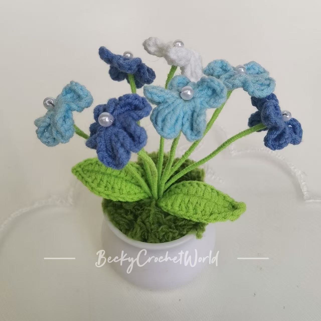 Myosotis pot