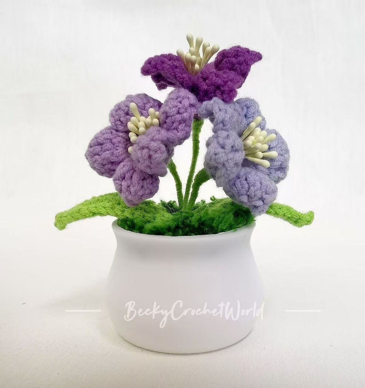 Bellflower