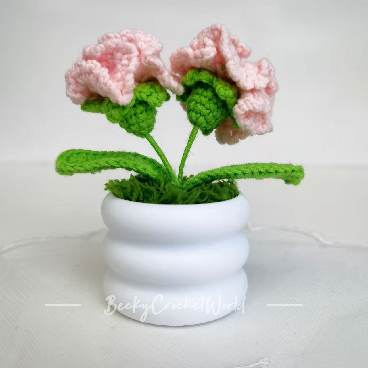 Little Pink Carnation