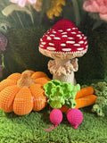 Pumpkin M, Mushroom, Carrots and Radishes