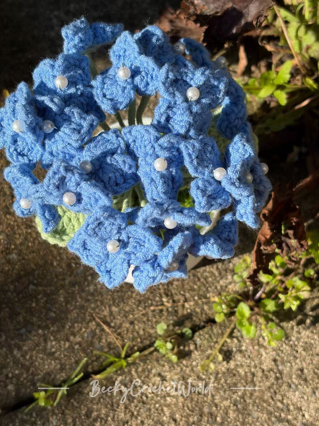 Hydrangea Blue