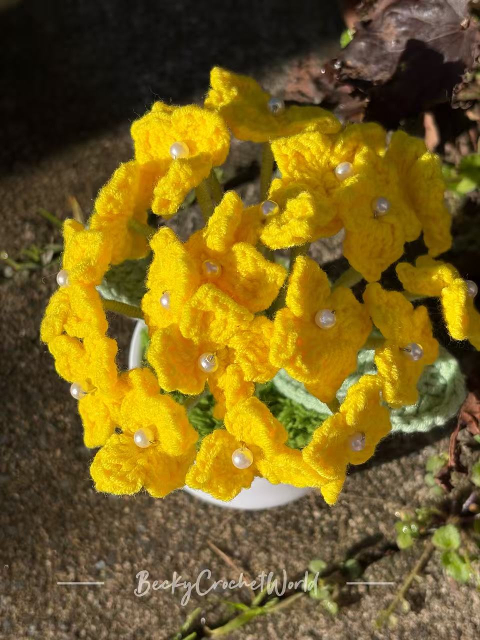 Hydrangea Yellow