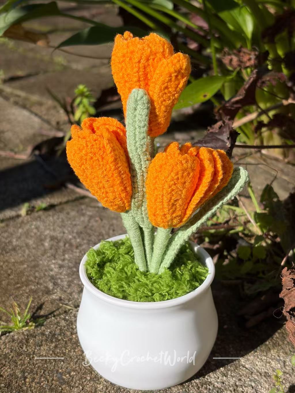Cosmos Flowers Orange