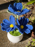 Cosmos Flowers Blue