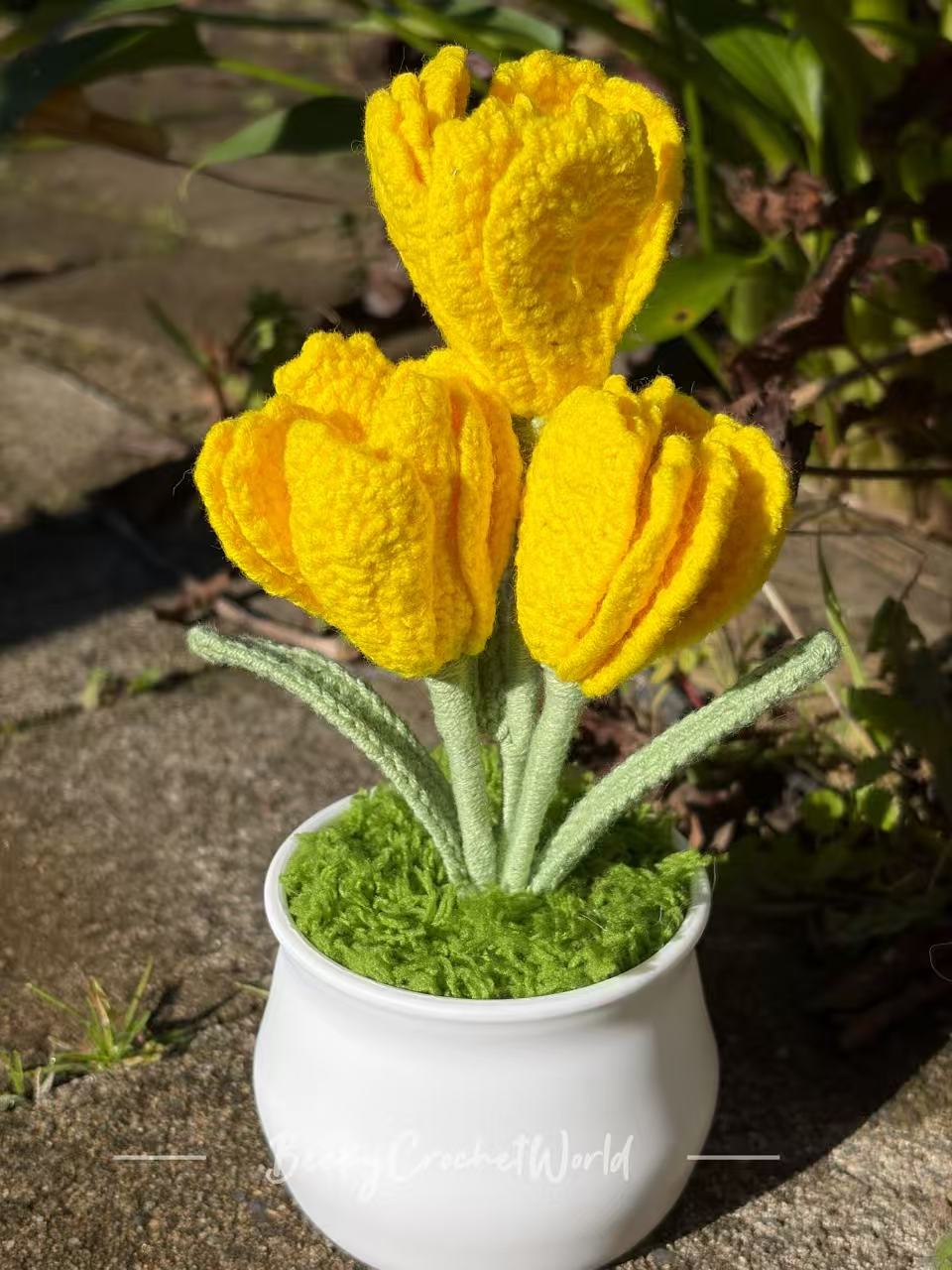 Cosmos Flowers Yellow