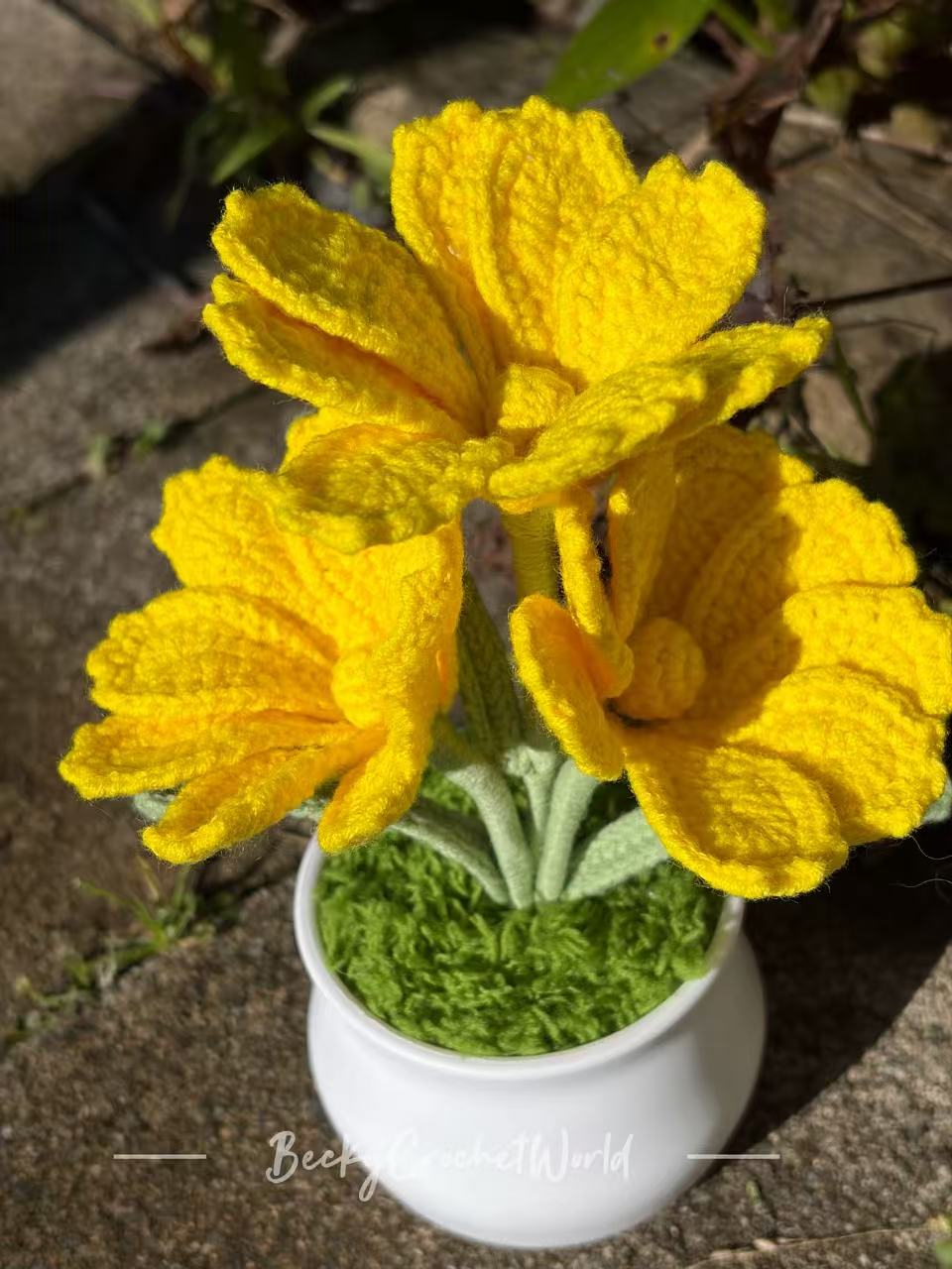 Cosmos Flowers Yellow