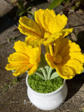 Cosmos Flowers Yellow