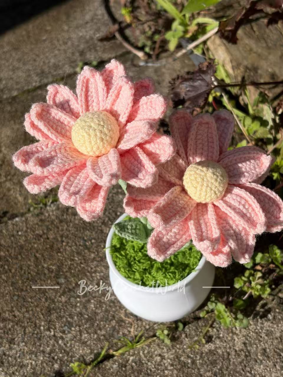 Zinnia Flowers Pink