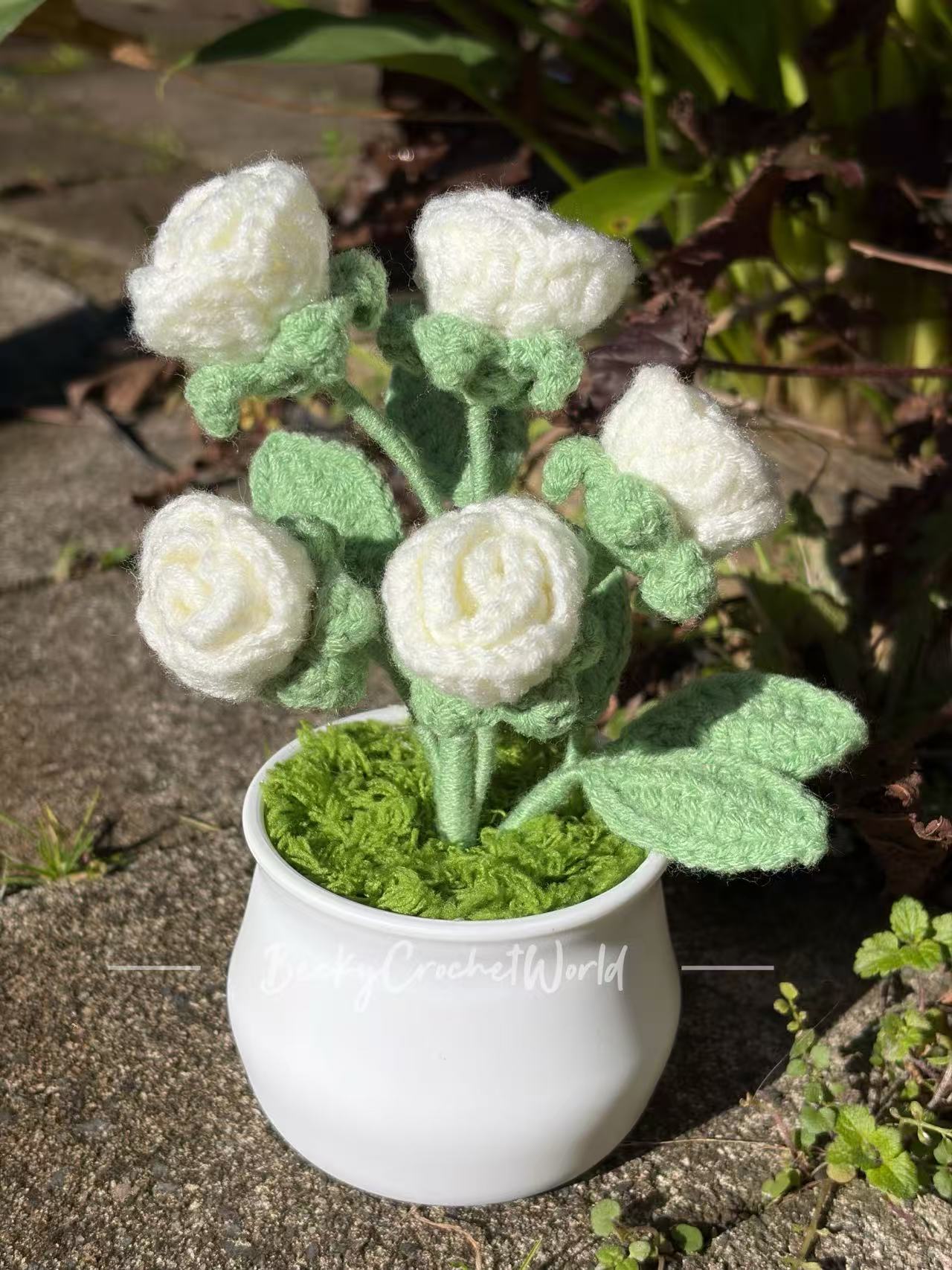 Rose White