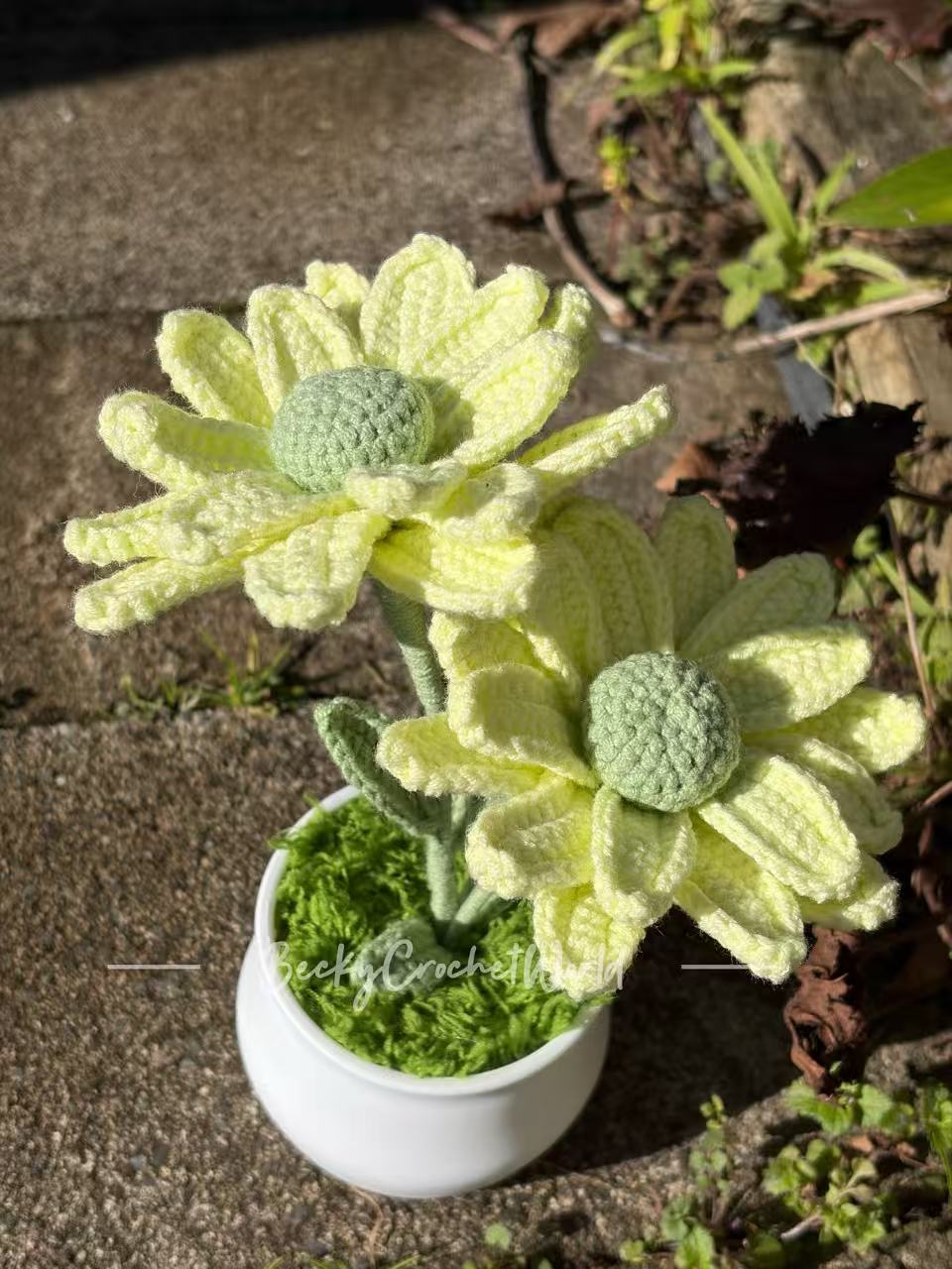 Zinnia Flowers Green