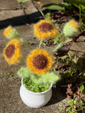 Daisy Yellow Ethereal