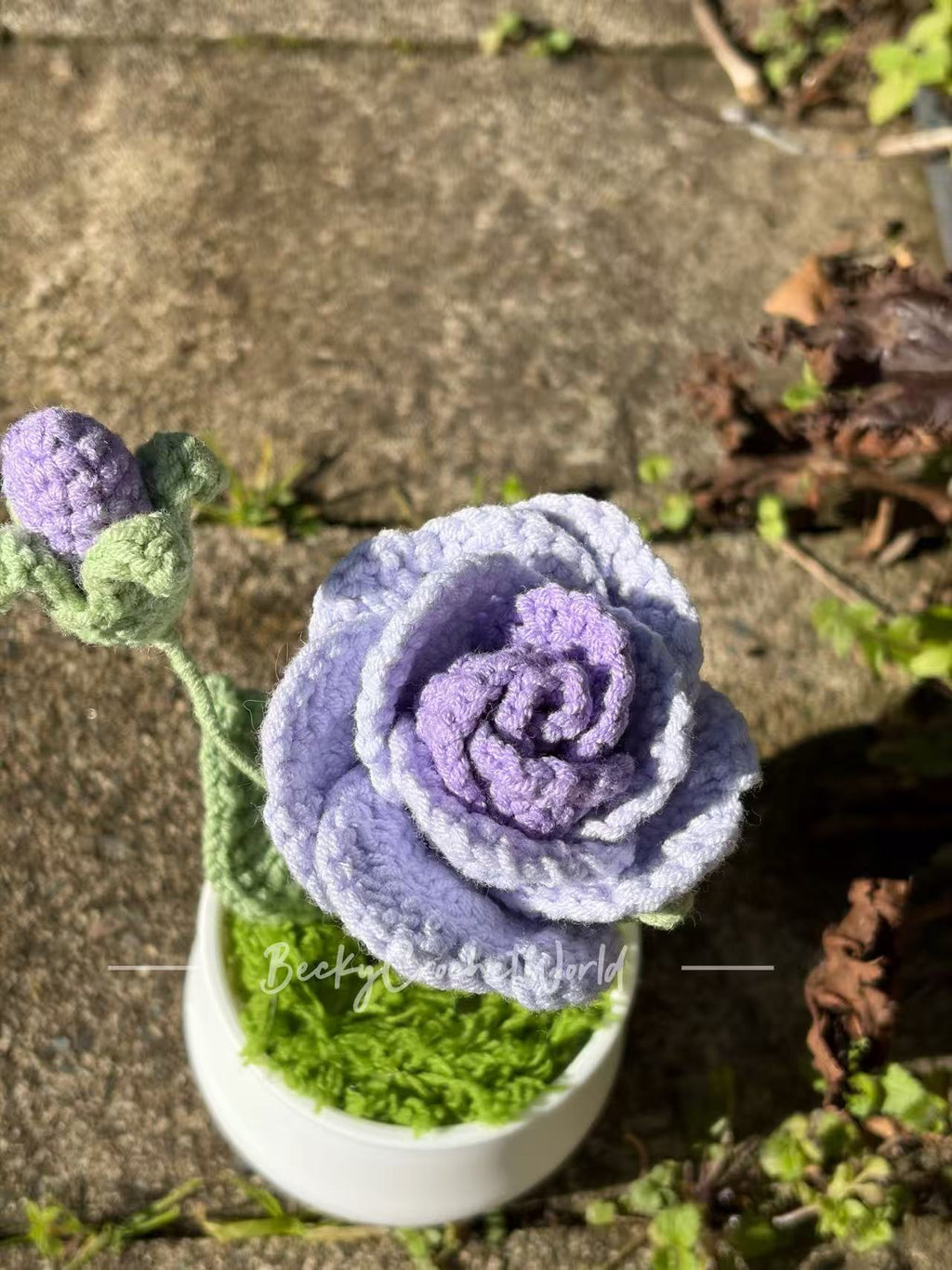 Rose Purple