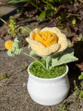 Rose Yellow