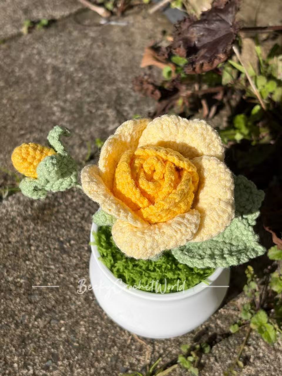 Rose Yellow