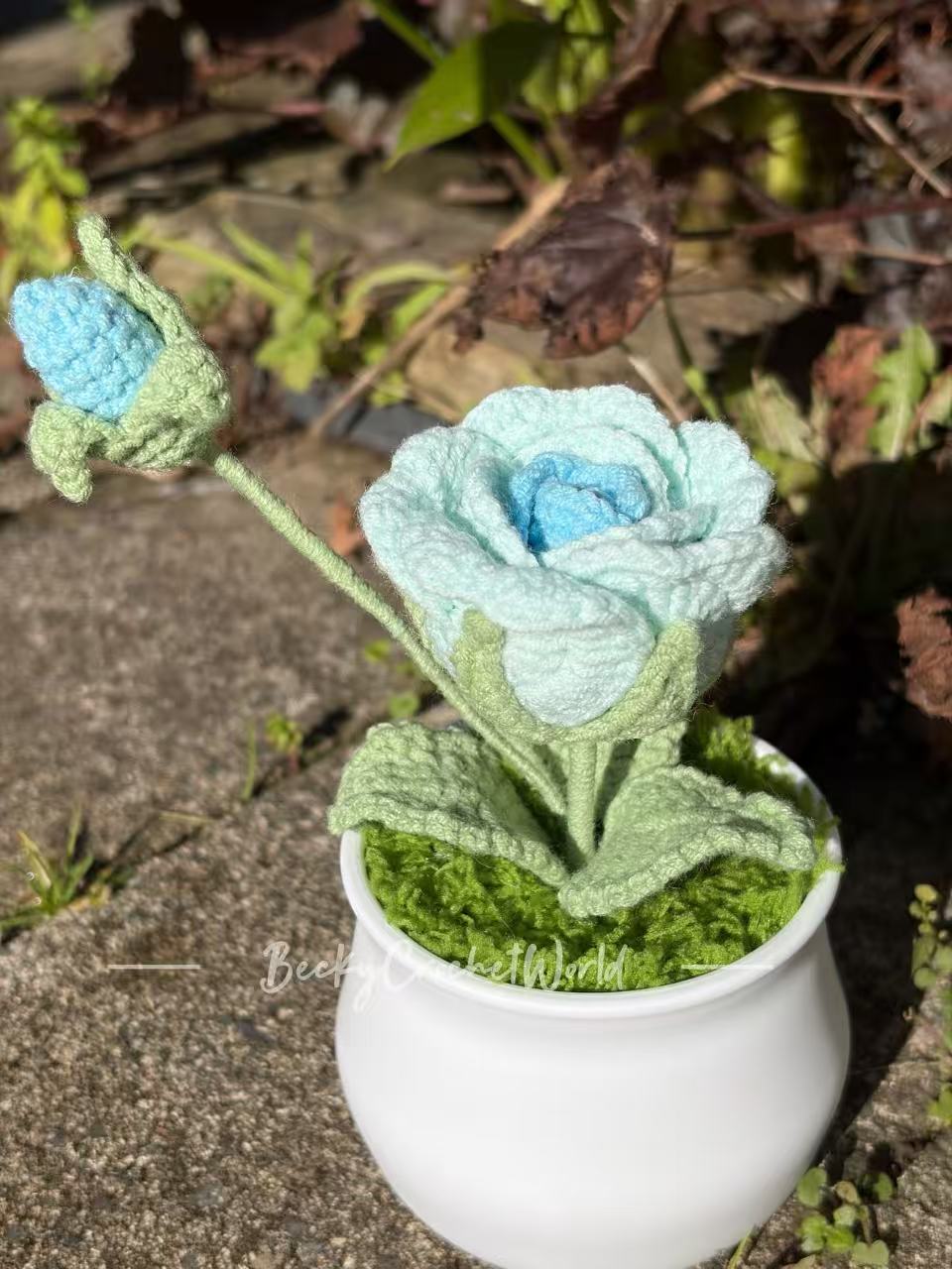 Rose Blue