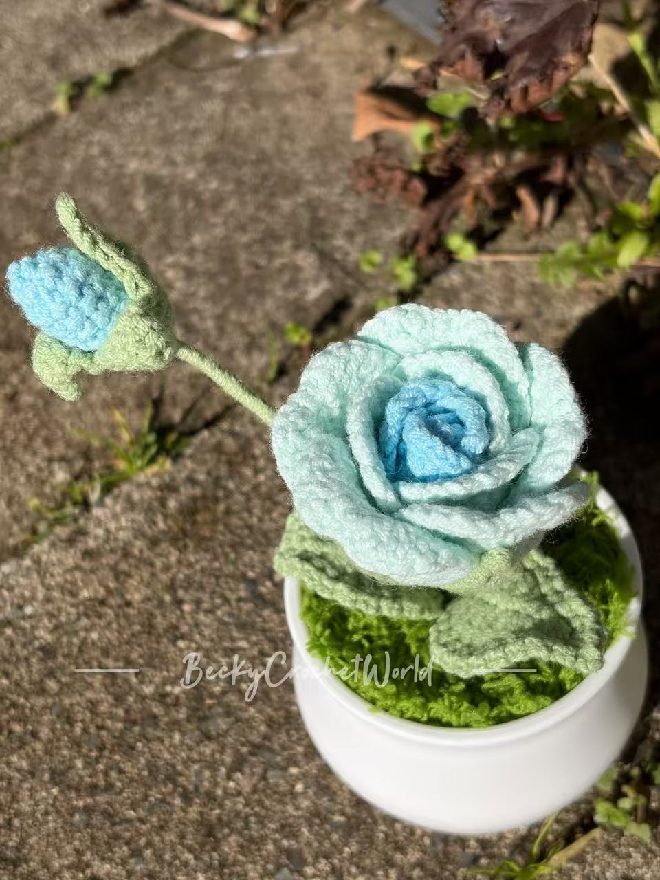 Rose Blue