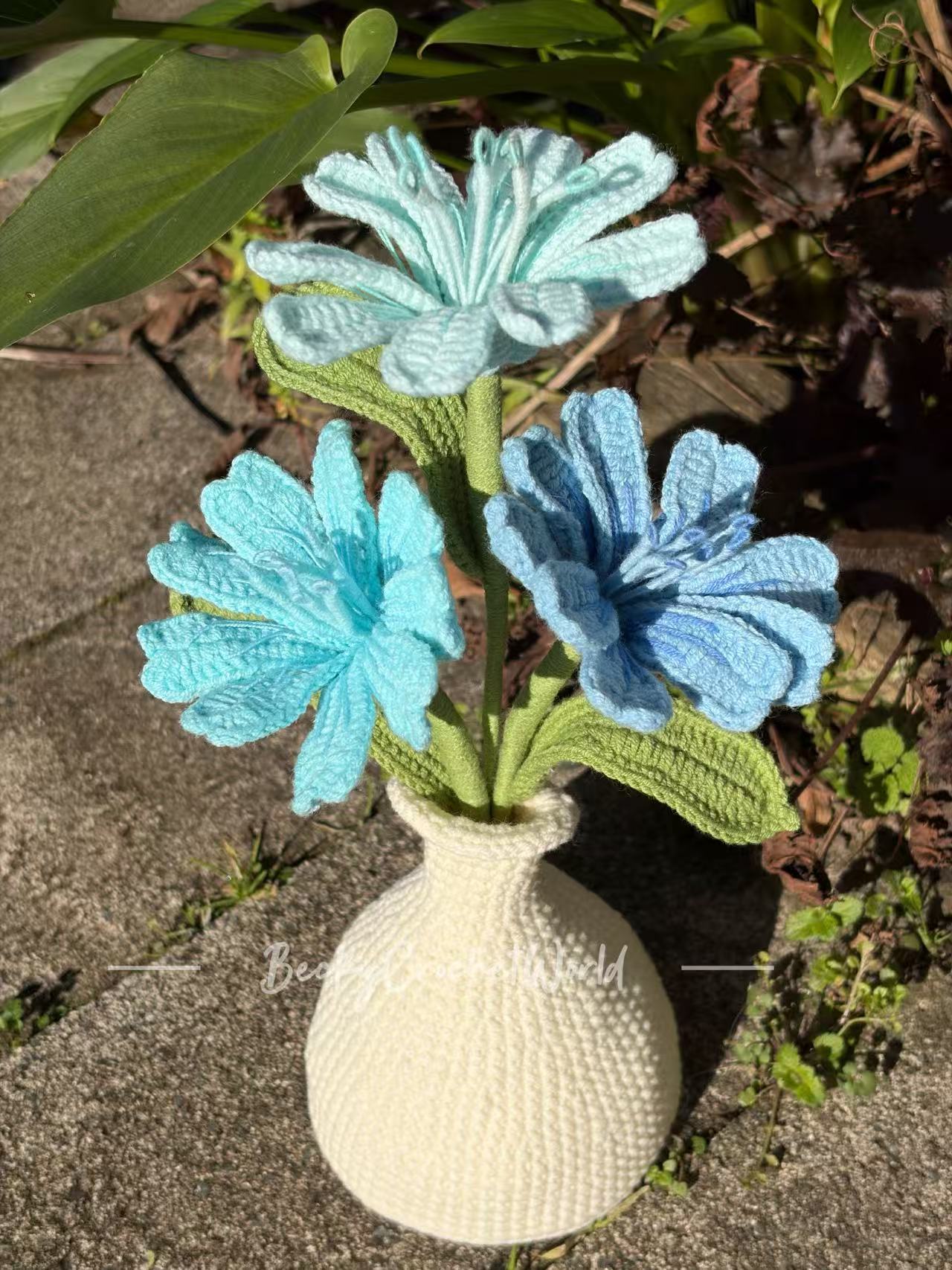Lewisia Blue 2