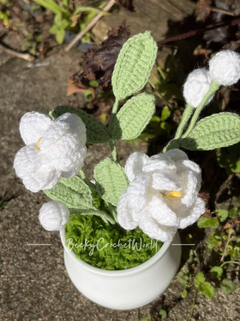 Jasmine