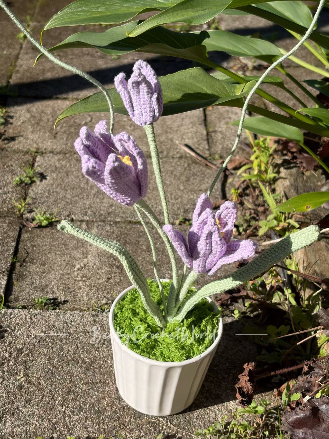 Flowers Purple