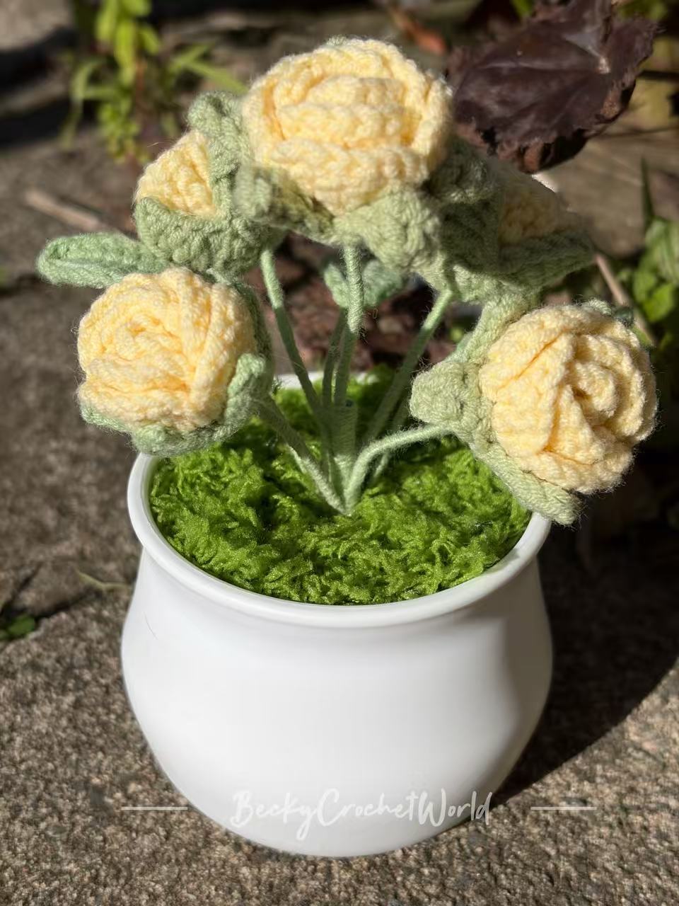 Rose yellow light