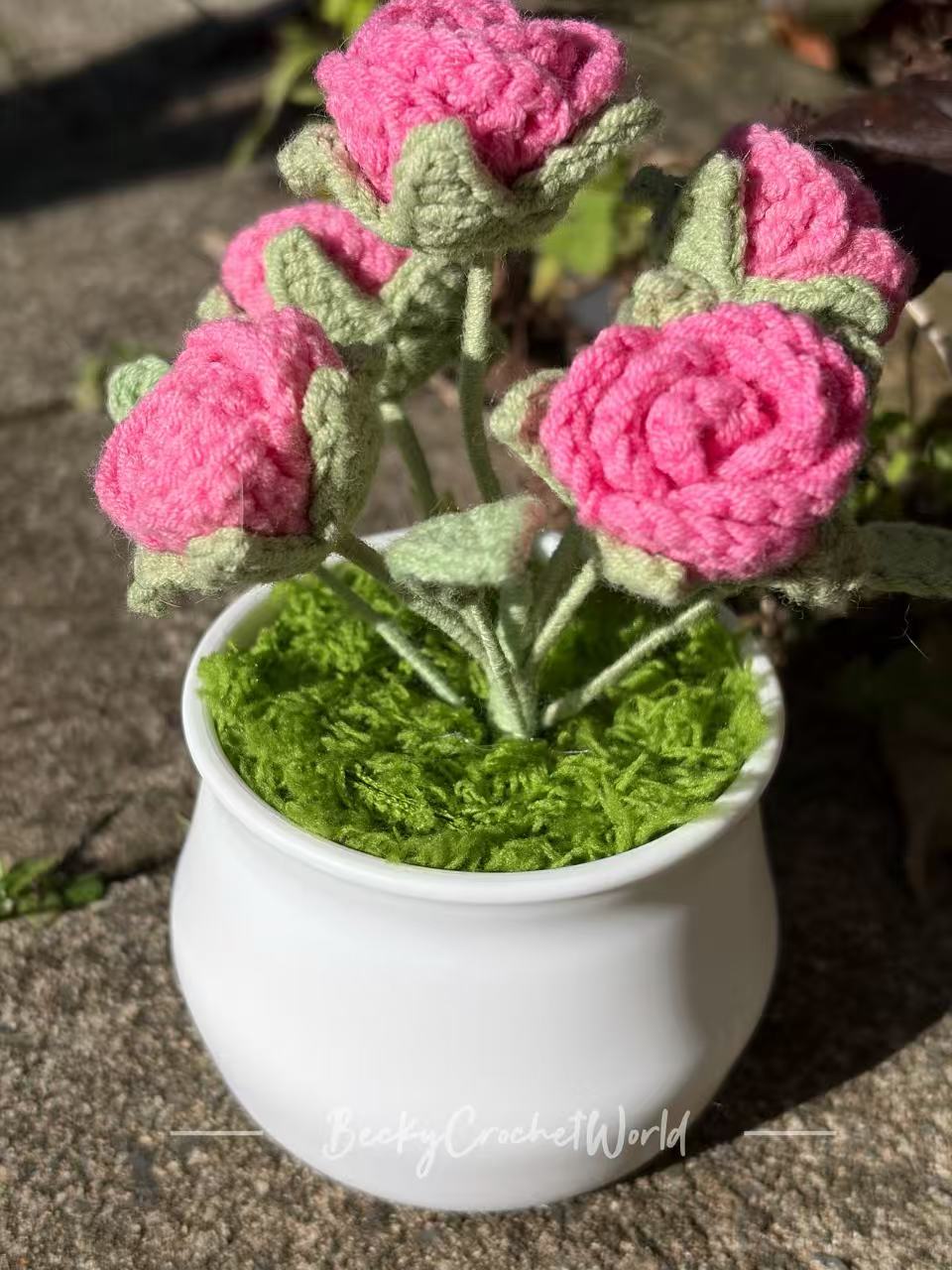Rose Pink