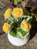Rose yellow Medium