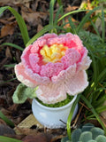 Peony Flower Pot Pink