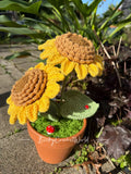 Sunflower Medium