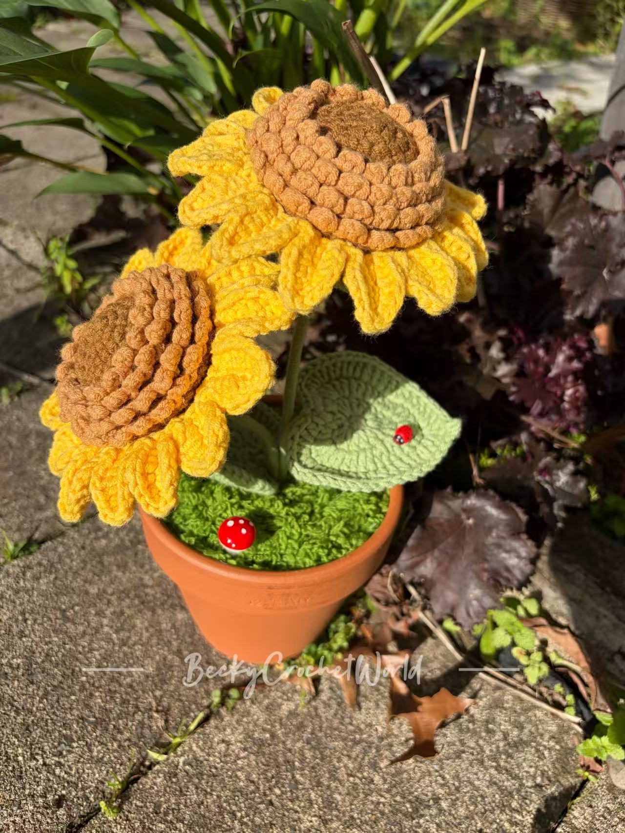 Sunflower Medium