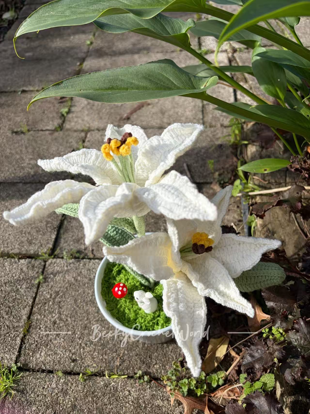 Lily