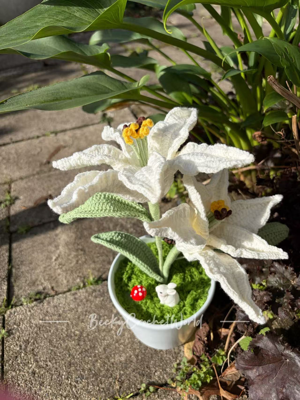 Lily