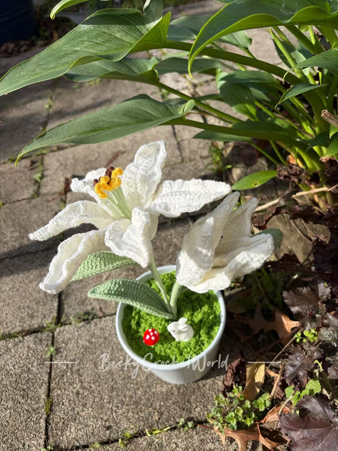 Lily