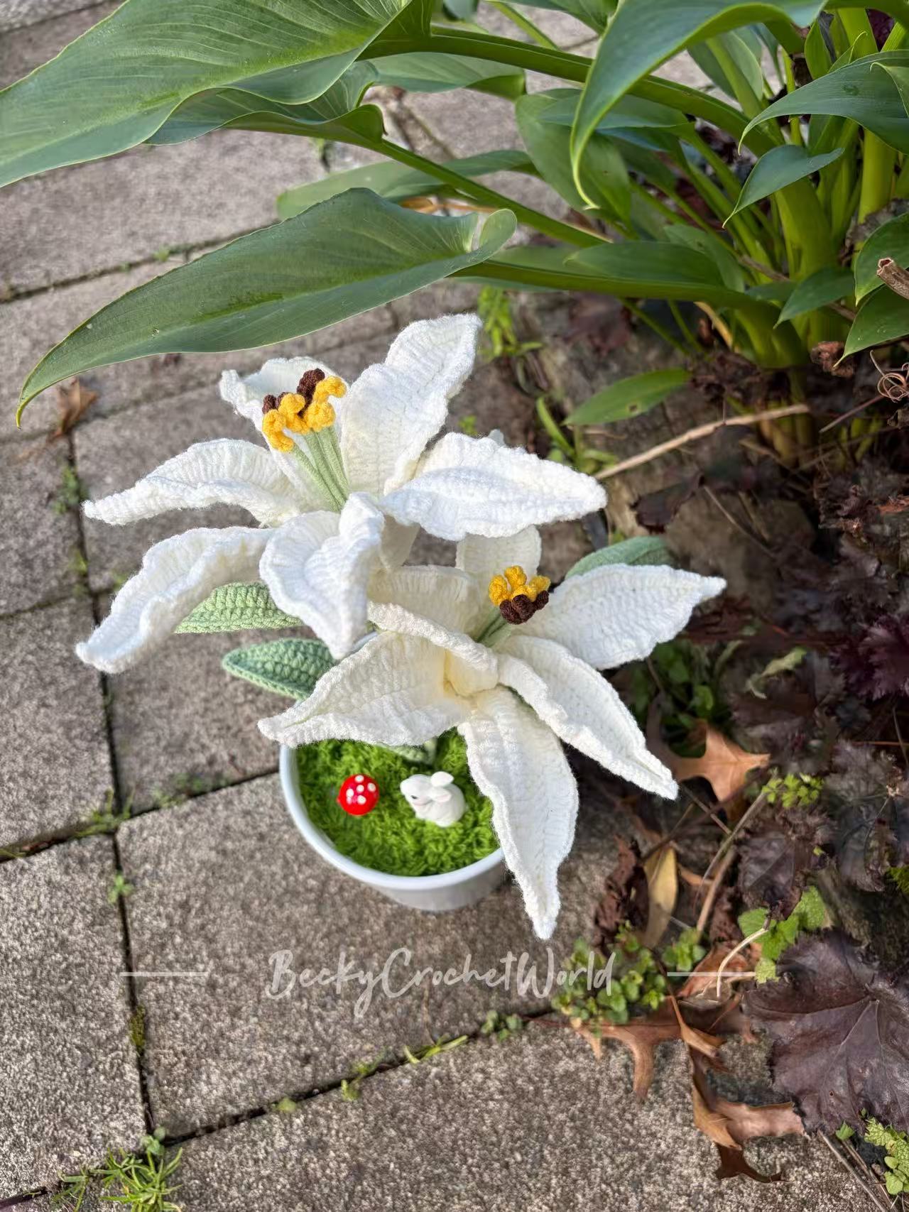 Lily