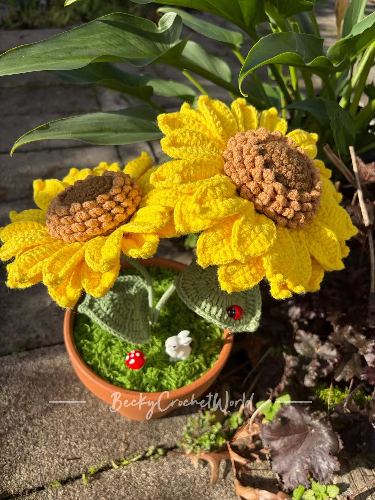 Two Sunflowers