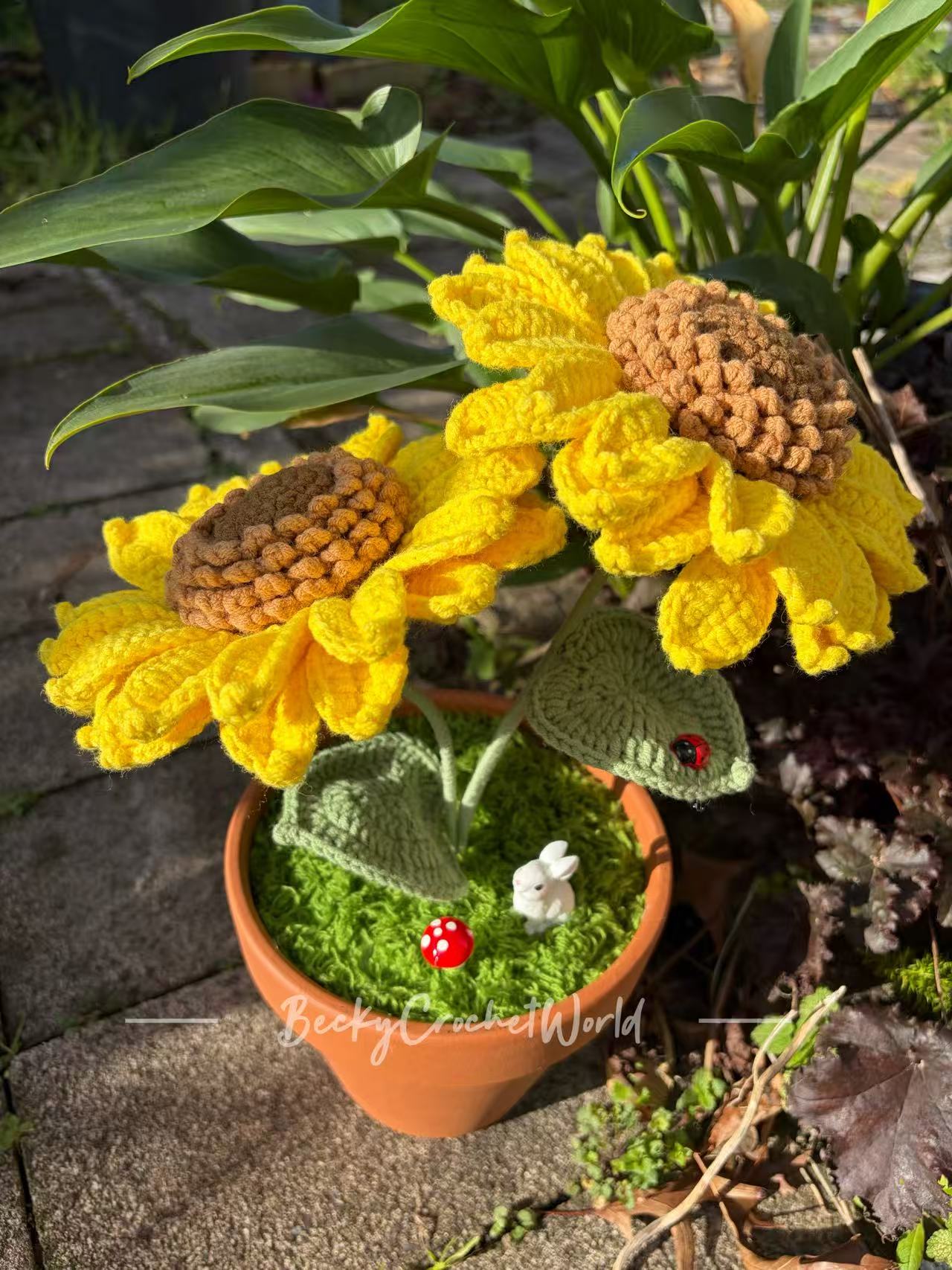 Two Sunflowers