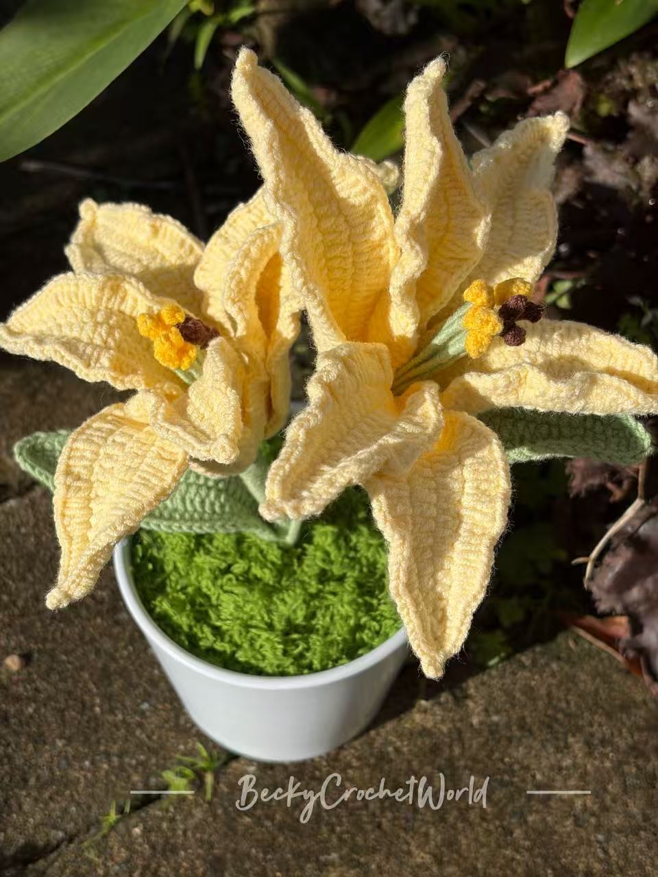 Lily Yellow